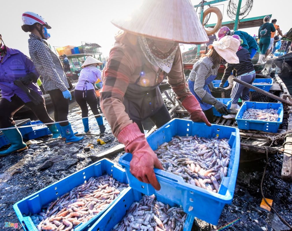 marchés aux poissons au Vietnam