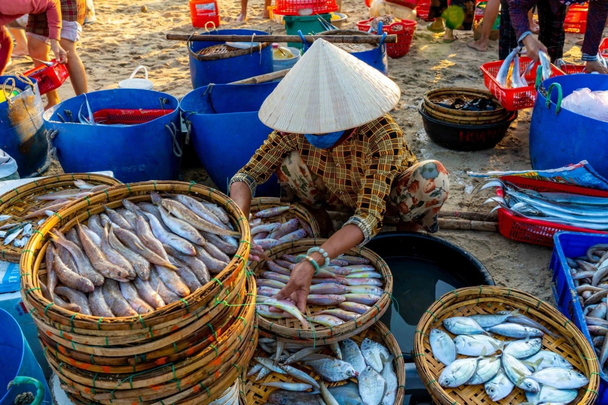 marchés aux poissons au Vietnam