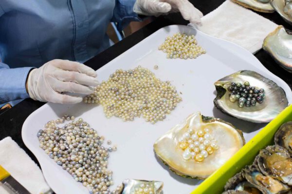 perles de Phu Quoc