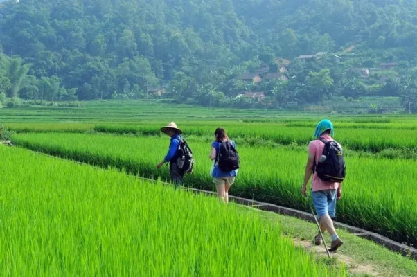 Randonnée au village de Xam Khoe à Mai Chau