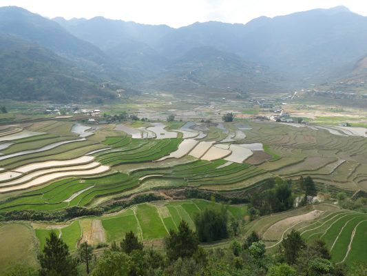 Nghia lo