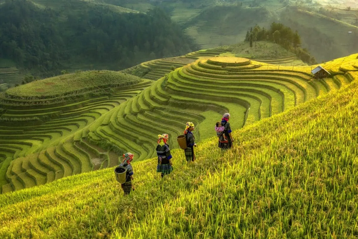 Voyage sur mesure au Vietnam | Circuit privé avec agence locale
