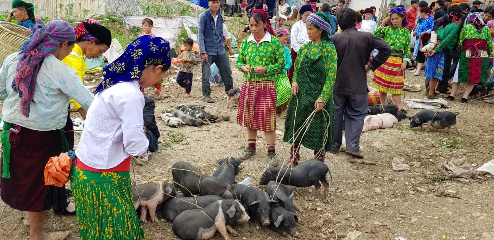 voyage au vietnam tout compris