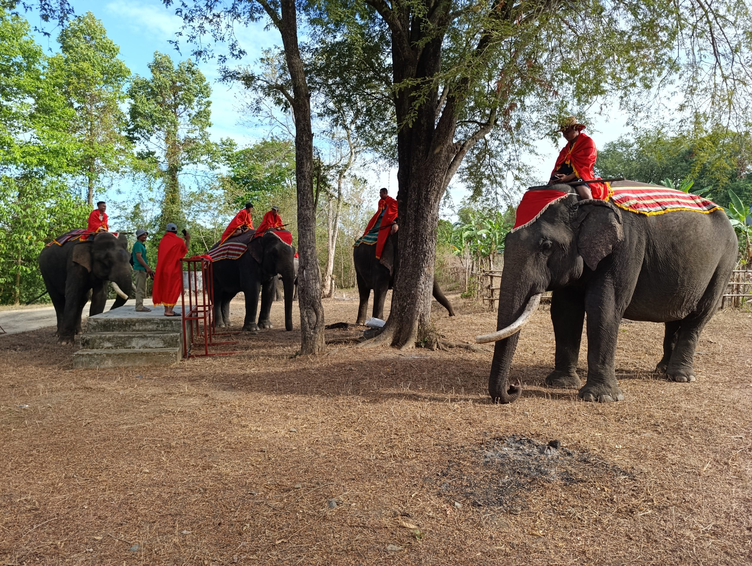 Carnet de voyage Vietnam 2025 : Partie 4