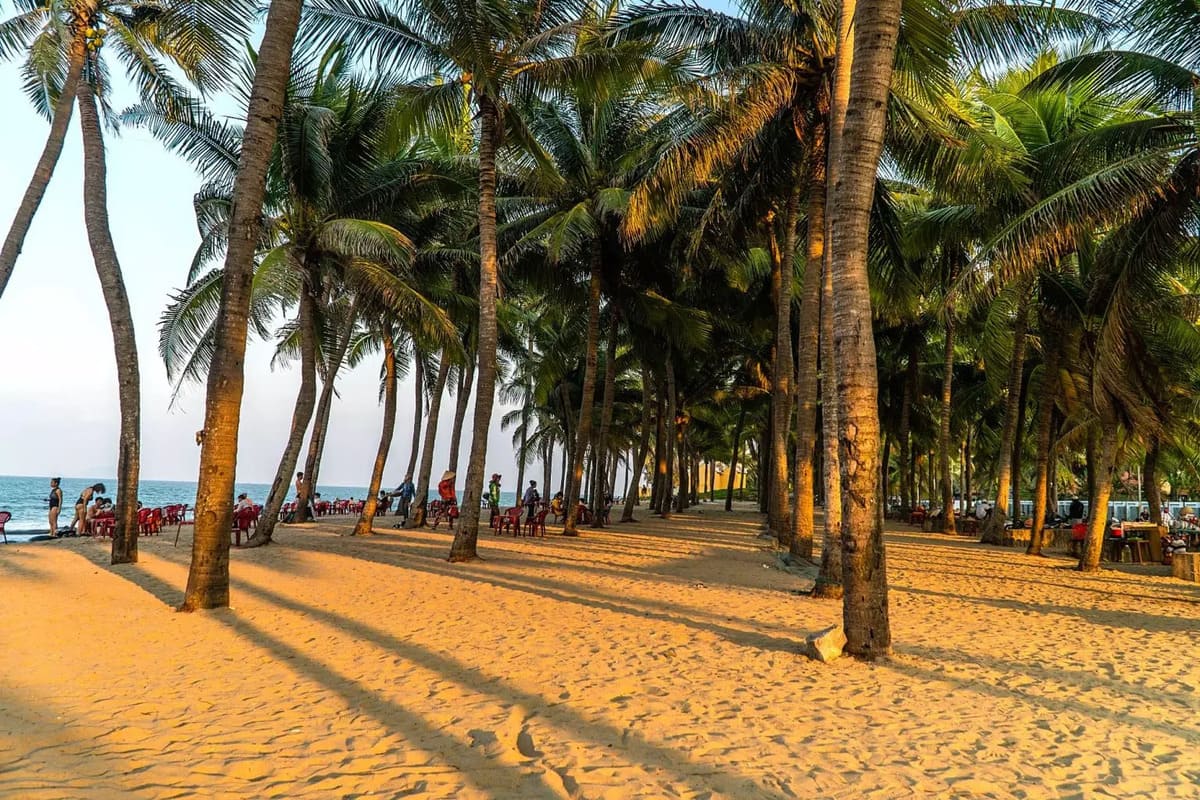 Plage de Cua Dai à Hoi An, bordée de cocotiers et de sable clair