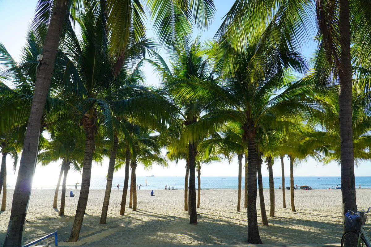plage-hoi-an-da-nang-2