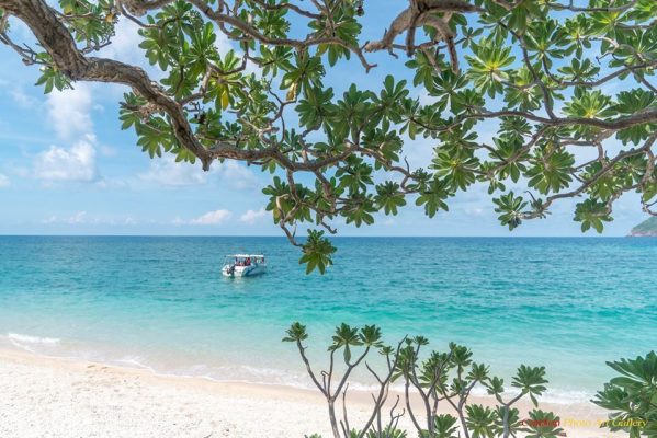 Plage tropicale aux eaux turquoise de Con Dao