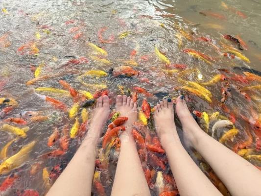 Massage des pieds par les poissons à Con Son