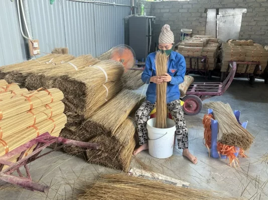 une femme travaille les tiges d’encens et les rassemble en grandes bottes