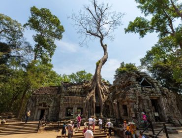 Circuit Vietnam Cambodge 15 jours : de Hanoï aux temples d’Angkor Circuit Vietnam Cambodge 15 jours : de Hanoï aux temples d’Angkor