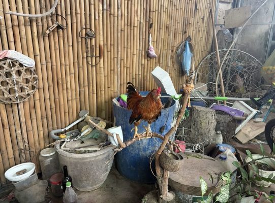 l’atelier de vannerie Thu Hoi