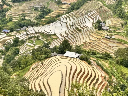 Rizières en terrasses de Nậm Hồng à Hoàng Su Phì
