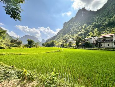 cao bang
