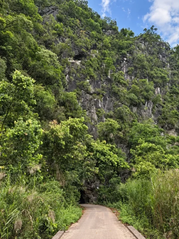 La route vers le village