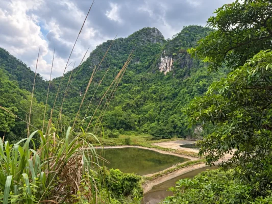 Paysage au village de Viet Hai