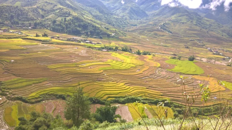 Nghia Lo - mcc