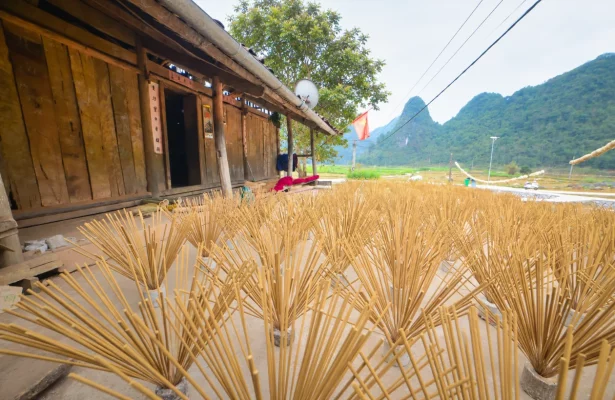 Des bouquets d’encens sèchent au soleil devant une maison traditionnelle de Phia Thap