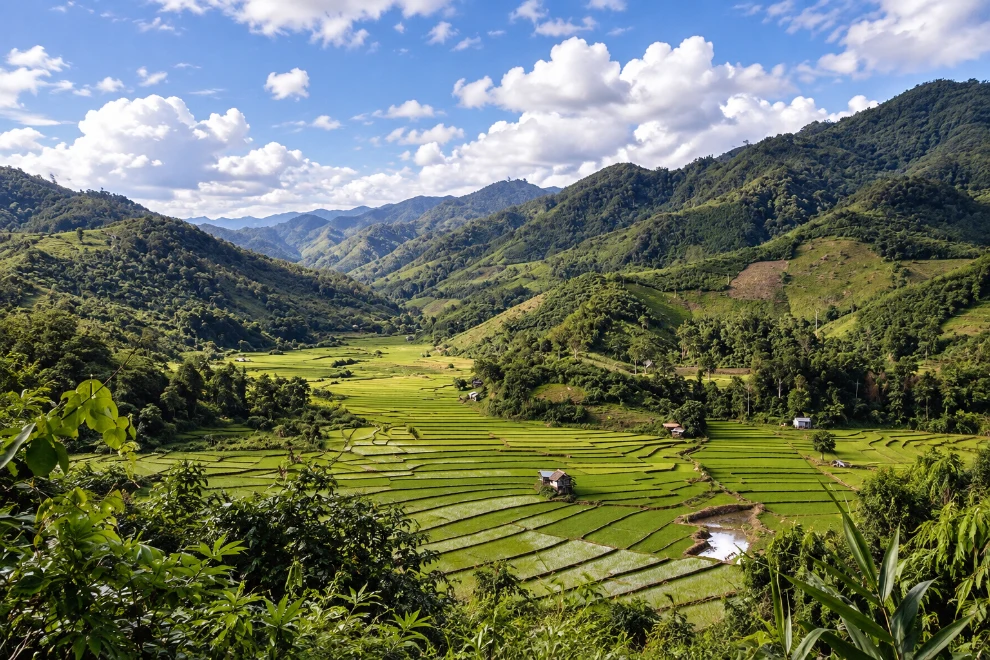 Phongsaly, et ses tribus montagnardes