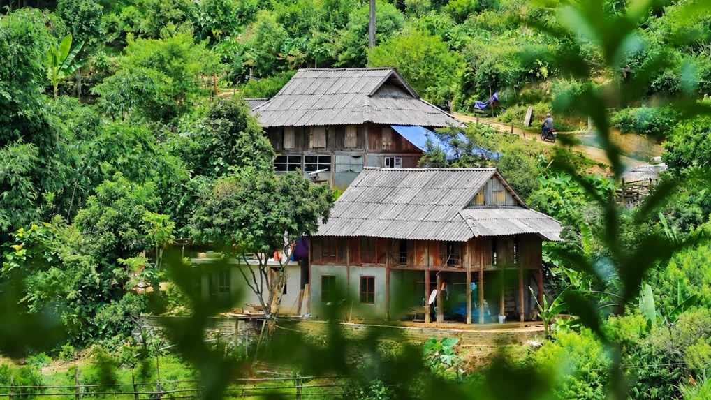 tan lac hoa binh