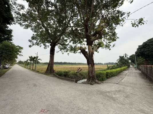 À vélo dans les villages de Kim Son, une autre façon de découvrir la campagne de Ninh Binh.