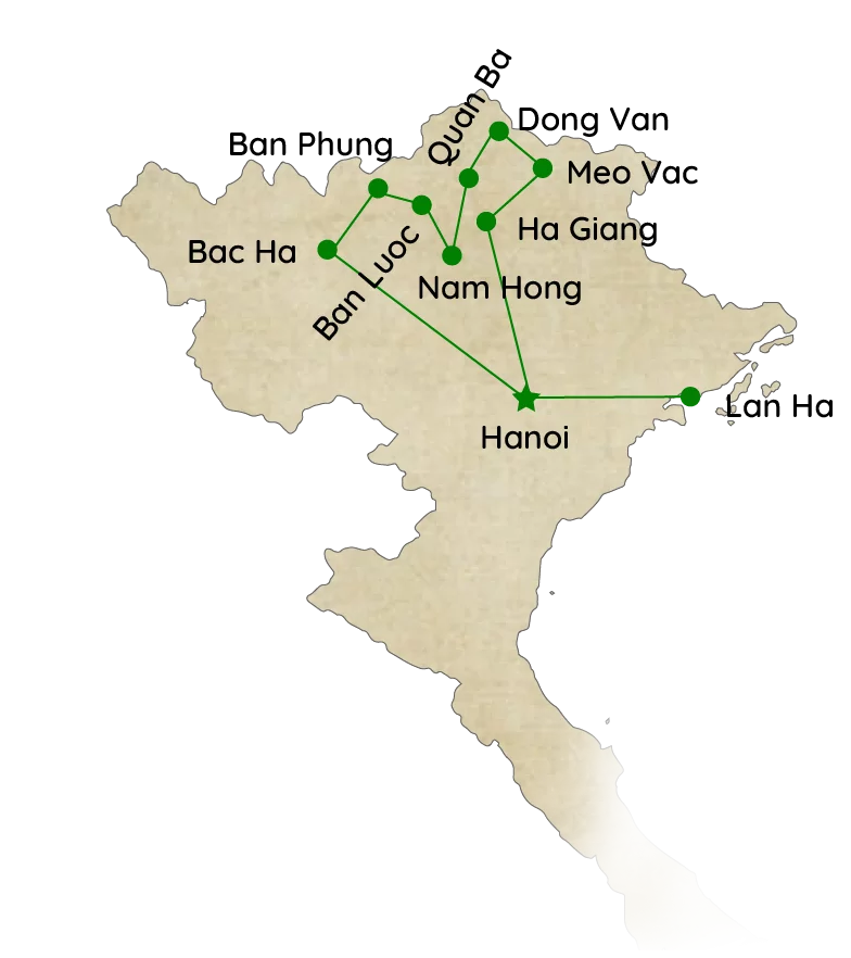 bacha-banphung-luoc-nam-hong-dv-hg-lanha