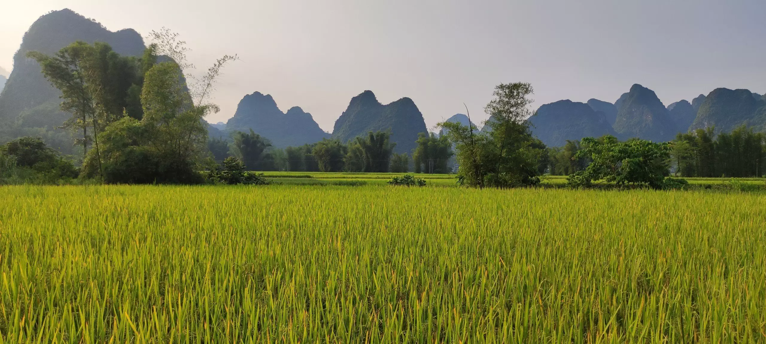 Lam Binh, Cao Bang, Ban Gioc hors sentiers battus (épisode 7)